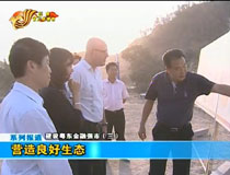 �I���������B(t��i)