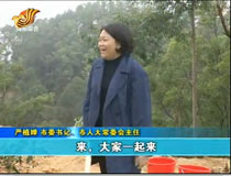 ��ֲ�ȵȵ��е����B(t��i)���x��ֲ��